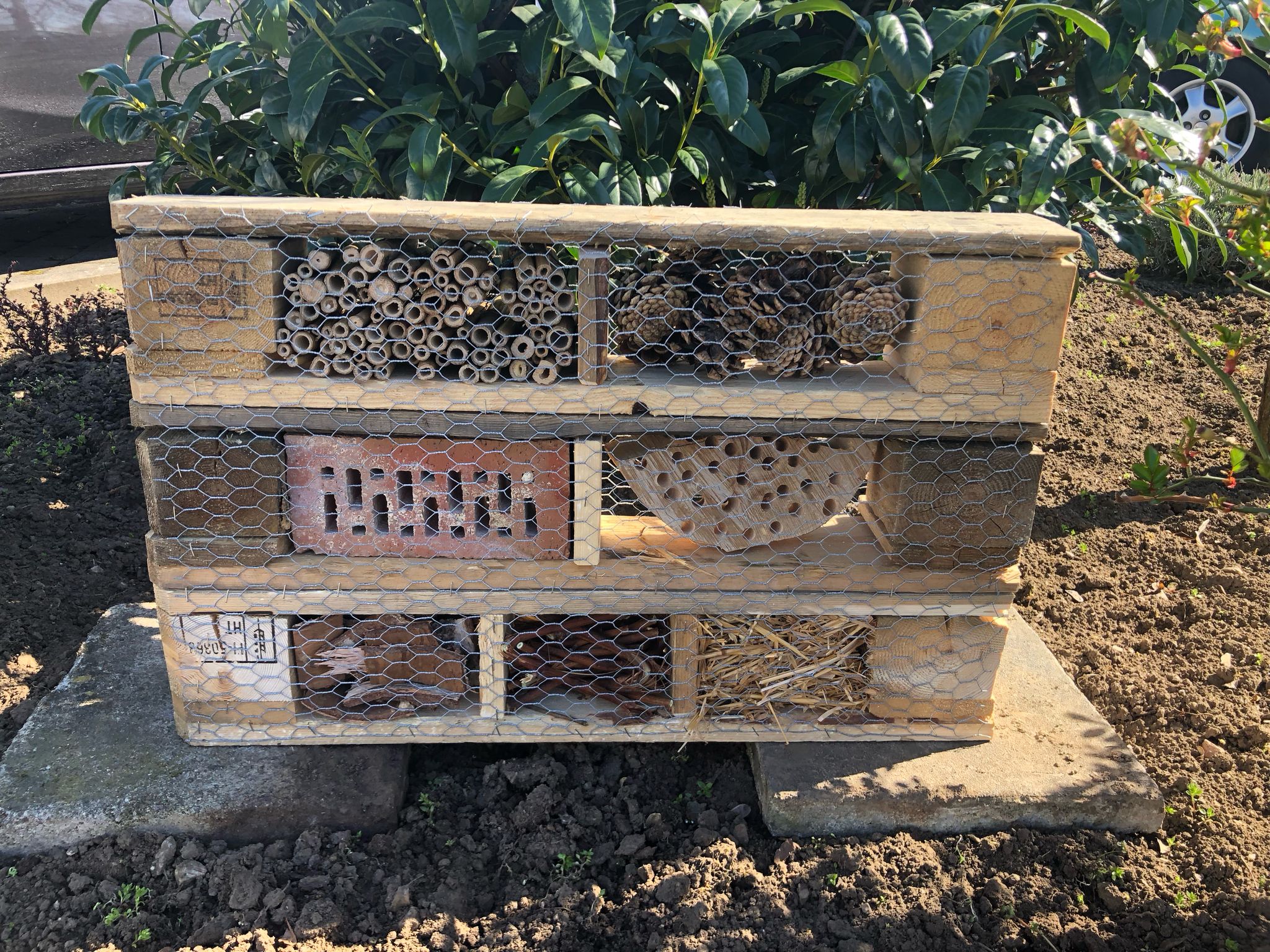 Preis: 30,00 € Insektenhotel